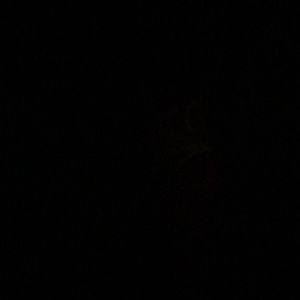 Meet your Posher, Ellie